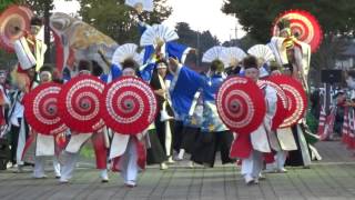 チーム☆利ゑ蔵／流し踊り会場／下野YOSAKOI与一まつり2015