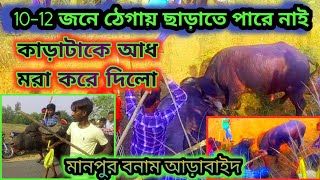 মানপুর‌ আসরে কাড়া লড়াই।মানপুর বনাম আড়াবাইদ