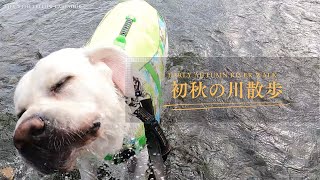 犬用ライフジャケットを装備して向かったのは・・・！