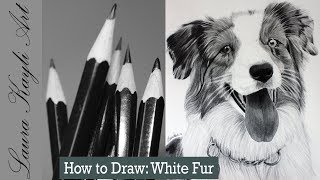 How to Draw White Fur in Graphite
