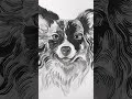 pet ink drawing painting inkdrawing petportraitartist petlover pet doglover dogportrait