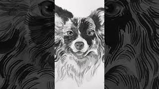 Pet ink drawing!! #painting #inkdrawing #petportraitartist #petlover #pet #doglover #dogportrait