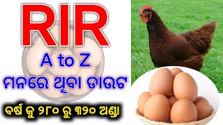 RIR  A to Z  ମନରେ ଥିବା doubt । ମୁଁ କୃଷକ (6370679112)