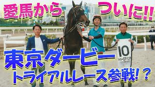 【動画の最後に緊急報告あり】愛馬、ドゥーロアバンティが今期最高のレース展開で重賞の舞台に！？