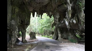 3 Things You Should See In Jerantut #Shorts #Jerantut #Pahang #Malaysia