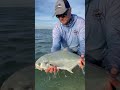 Wade Fishing Florida Pompano in South Florida