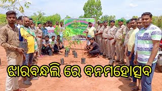 ଝାରବନ୍ଧଲି ରେ ବନମହୋତ୍ସବ /Pramod sahu sambalpuri vlog.