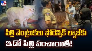 పిల్లి వెంట్రుకలు ఫోరెన్సిక్‌ ల్యాబ్‌‌కు..ఇదో పిల్లి పంచాయితీ! - TV9