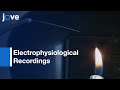 Electrophysiological Recordings of LFP from HDP | Protocol Preview