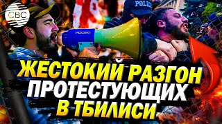 Протесты в Грузии: полиция жестко разогнала палаточный лагерь против парламентских выборов