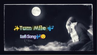| Tum Mile Lofi Song ❤️🎶| Female version Lofi Song| #creative_status_zone