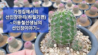 [선인장이야기]선인장의 하절기관리는 어떻게?(이동철선생님의선인장이야기)