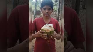 Fresh- ஆன  இளநீர் சாப்பிடலாமா/Farm Fresh tender coconut