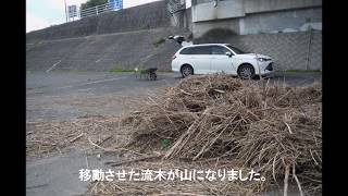 いつもラジコンしてる河川敷が台風で流木だらけになったので・・・