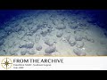 Ancient Amphora of Shipwreck Knidos A- 2009 | Nautilus Live