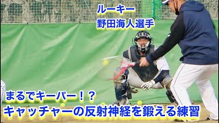 まるでキーパー！？反射神経を鍛える練習【2023年埼玉西武ライオンズ春野キャンプ】