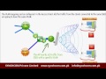 synchcom ligodlb vlan tagging vlan mapping