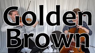 Golden Brown - The Stranglers Violin & Cello Cover