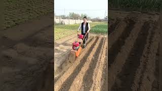 Multifunctional tiller Peanut furrow soil weeding machine Trenching and soil cultivating#shorts