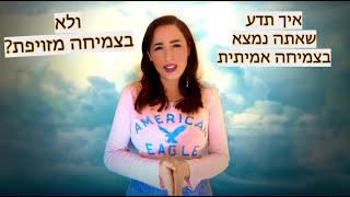 מה ההבדל בין צמיחה וגדילה אמיתית לבין צמיחה מזויפת? וגם למה הורדתי מינון של סרטונים