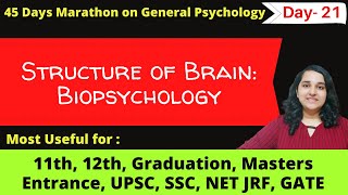 Structure of Brain explained in detail| #biopsychology| General Psychology in Hindi| Mind Review