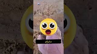 لقد وجد هذا الكنز الرائع 😱💰