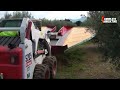 awesome olive oil harvesting modern olives agriculture technology expensive olive oil processing