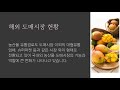 서울시농수산식품공사 자기소개서 1번 문항 공영 농수산물도매시장의 기능과 역할