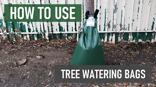 How to Use Solutions Tree Watering Bags [Low Maintenance Tree Watering Solution]