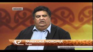 Will Maori Party split over removal of Treaty Principles?