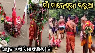 Maa Maheshwari Barua | Apamara,Bheden | Maheshwari Temple | Bhaijiutia Puja @alokofficialvlogs