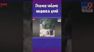 ગિરનાર પર્વતના આહલાદક દ્રશ્યો  #girsomnath #tv9gujarati #shorts #girnarhills