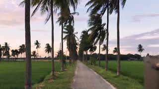 Horticulture Centre, Tebunia, Pabna.