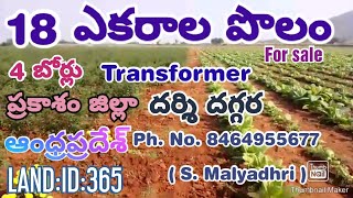 18 ACRES OF LAND FOR SALE. PRAKASAM DT. DARSHI(AP). PH. NO. 8464955677.LAND:ID:365