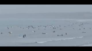 ２０２３年１０月９日（月）江ノ島～鵠沼海岸：雨がしとしと降ってます。風はやや強めで波はすね～膝くらい。