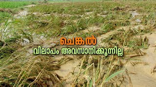 ചെങ്കലിലെ അവസാനിക്കാത്ത വിലാപങ്ങൾ | Chenkal Vilapam Avasnikunilla