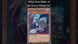 What Does Rider of the Storm Winds Do? (Yugioh Cards Explained for Easy Deck Building)