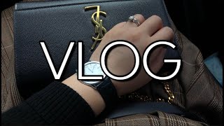 샤샤Vlog.41 | 김즈브의 확찐자로그 |