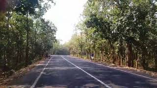 bhadutola forest, paschim medinipur. For more videos subscribe please🙏