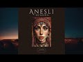 DJ Souhil - Anesli ( Official Visualizer ) Extented Mix