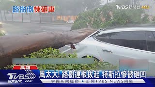 風太大! 路樹連根拔起 特斯拉慘被砸凹｜TVBS新聞 @TVBSNEWS01