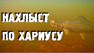 Ловля хариуса нахлыстом на таежном ручье