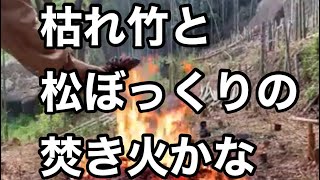 【焚き火１０分】焚き火のしめに松ぼっくりを投入〜。枯れ竹を燃やせば竹林に優しい時間が流れる。