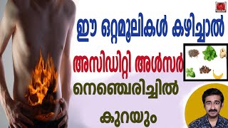 ഈ ഒറ്റമൂലികൾ കഴിച്ചാൽ അസിഡിറ്റി അൾസർ നെഞ്ചെരിച്ചിൽ കുറയും Ulcer Medicine and Food