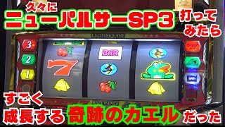 久々に【ニューパルサーSP3】打ってみたら すごく成長する『奇跡のカエル』だった！こんなに成長してリーチ目楽しいカエル様は初めて！【11月2日 デルグランド上横田店 中山馬鹿実践取材】