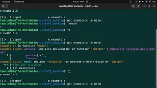 printf() session with cohort 17