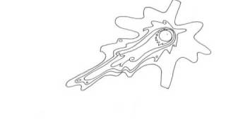 Morph Loop - Original