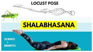 How to do SHALABHASANA Locust Pose l Science + benefits