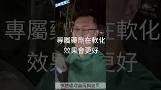 洗車幫幫忙- 如何快速處理清潔？車上蟲屍與鳥屎！