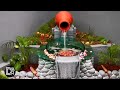 how to make a garden water falls😍 ഇനി പുന്തോട്ടത്തിലും വെള്ള ചാട്ടം dreams by hands